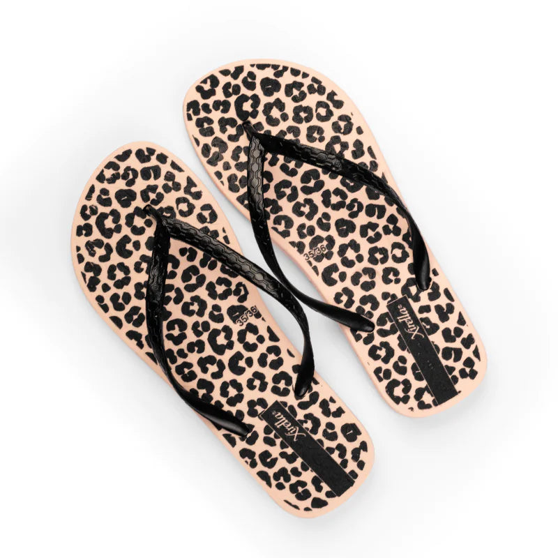 249 LEOPARDO