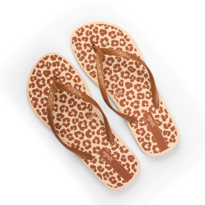 249 LEOPARDO